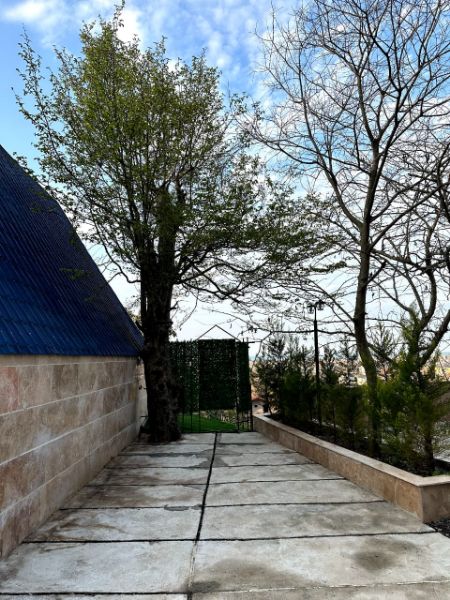 Picture of کلبه سويیسی دوبلکس 