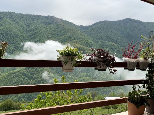 تصویر سرای امید دوخوابه رویایی 