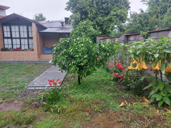 تصویر ویلای اکسیر